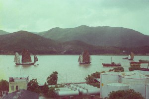 Juncos à vela